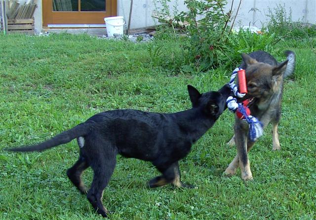 artus mit mama rika